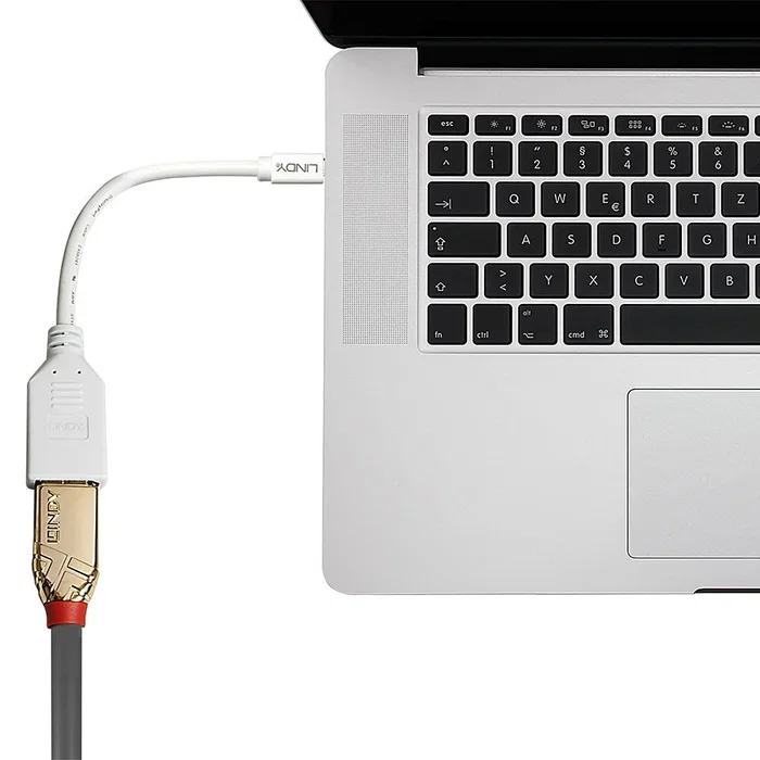 Lindy Cable adaptador Mini-DP (M)/DP (H) Premium blanco, 0,15 m