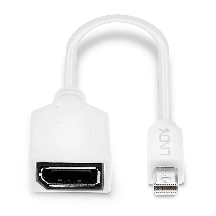 Lindy Adaptador Mini DisplayPort a DisplayPort Blanco 0,15 m Lindy Adaptador Mini DisplayPort a DisplayPort Blanco 0,15 m