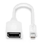 Lindy Adaptador Mini DisplayPort a DisplayPort Blanco 0,15 m