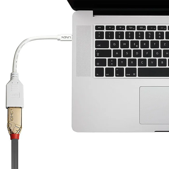 Lindy Adaptador Mini DisplayPort a DisplayPort Blanco 0,15 m Lindy Adaptador Mini DisplayPort a DisplayPort Blanco 0,15 m