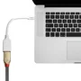 Lindy Adaptador Mini DisplayPort a DisplayPort Blanco 0,15 m