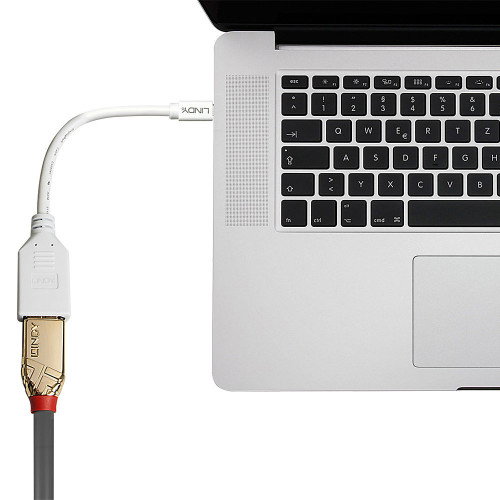 Lindy Adaptador Mini DisplayPort a DisplayPort Blanco 0,15 m