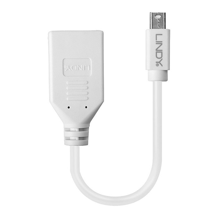 LINDY Cable Adaptador Mini DisplayPort a DisplayPort Macho/Hembra 0.15 m Blanco, Referencia 41021
