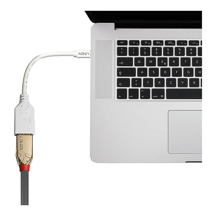 LINDY Cable Adaptador Mini DisplayPort a DisplayPort Macho/Hembra 0.15 m Blanco, Referencia 41021