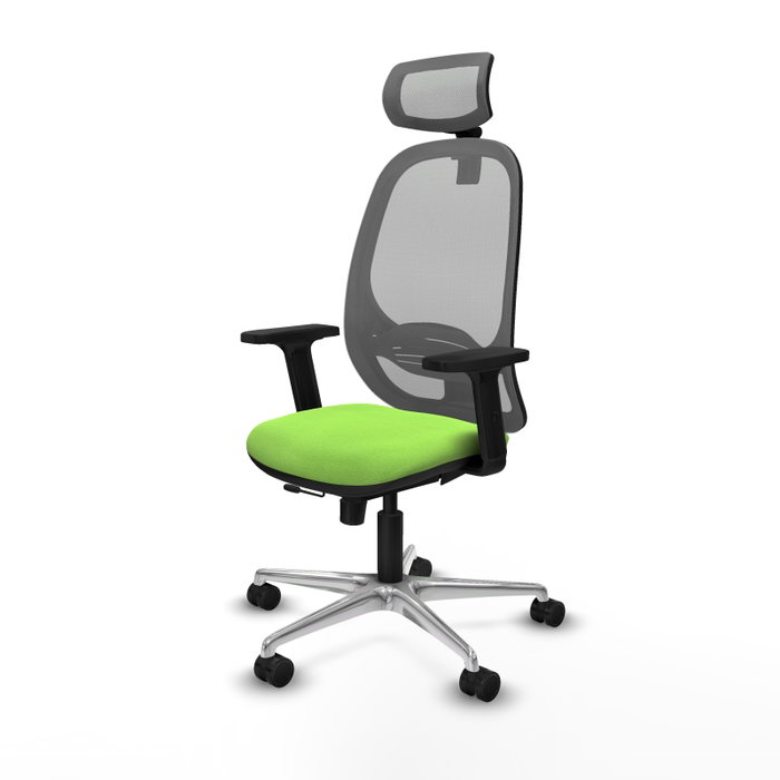 PIQUERAS Y CRESPO Silla de oficina Cilanco con mecanismo Sincro/Traslack, Pistacho y Gris PIQUERAS Y CRESPO Silla de oficina Cilanco con mecanismo Sincro/Traslack, Pistacho y Gris