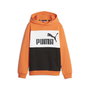 Sudadera con Capucha Niño Puma Ess