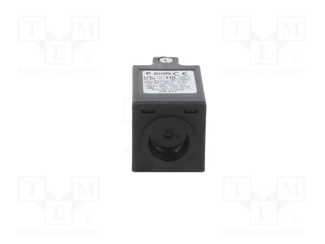 PIZZATO ELETTRICA FR 917 Interruptor de fin de carrera NC x2 10A