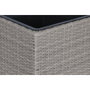DKD Home Decor Macetero de Ratán Sintético Celosía Natural 78x48x116 cm