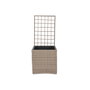 DKD Home Decor Macetero de Ratán Sintético Celosía Natural 78x48x116 cm