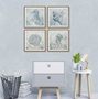DKD Home Decor Cuadro Lienzo Marino Pack de 4 unidades