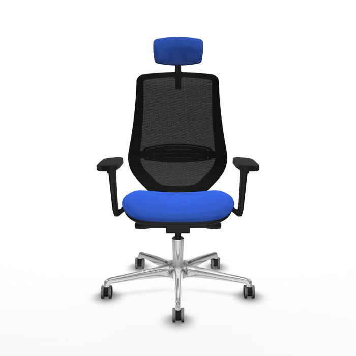 PIQUERAS Y CRESPO Silla de oficina Mardos con Mecanismo Sincro/Traslack, Azul y Negro PIQUERAS Y CRESPO Silla de oficina Mardos con Mecanismo Sincro/Traslack, Azul y Negro