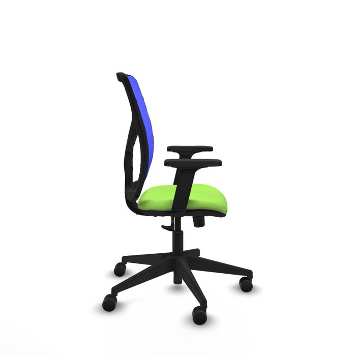 PIQUERAS Y CRESPO Silla de oficina Motilla con mecanismo Sincro, Azul y Pistacho PIQUERAS Y CRESPO Silla de oficina Motilla con mecanismo Sincro, Azul y Pistacho