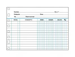 Finocam Recambio Multifin Cuentas Corrientes 3003
