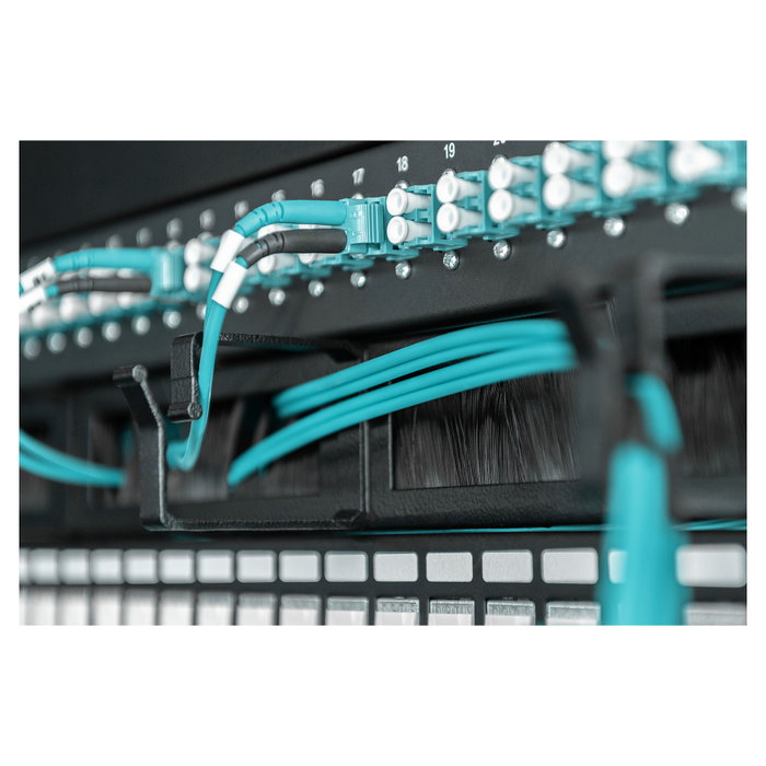 Digitus Panel de gestión de cables 1U con 4 guías y entradas con cepillo Negro Digitus Panel de gestión de cables 1U con 4 guías y entradas con cepillo Negro