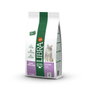 Affinity Libra Feline Adult Sterilized Pollo 3kg