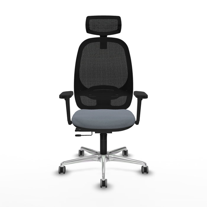 PIQUERAS Y CRESPO Silla de oficina Cilanco con Mecanismo Sincro/Traslack, Gris y Negro PIQUERAS Y CRESPO Silla de oficina Cilanco con Mecanismo Sincro/Traslack, Gris y Negro