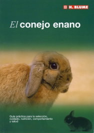 H.BLUME, Conejo enano - David George