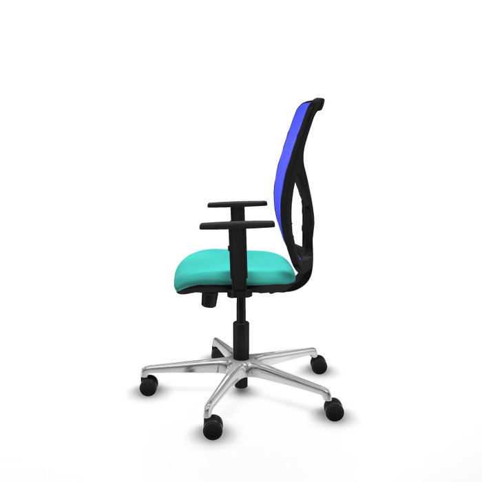PIQUERAS Y CRESPO Silla de oficina Motilla con mecanismo Sincro/Traslack, Azul y Turquesa PIQUERAS Y CRESPO Silla de oficina Motilla con mecanismo Sincro/Traslack, Azul y Turquesa