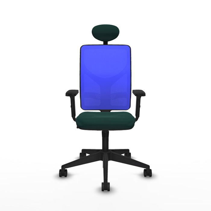 PIQUERAS Y CRESPO Silla de oficina Motilla con mecanismo Sincro, Verde botella y Azul PIQUERAS Y CRESPO Silla de oficina Motilla con mecanismo Sincro, Verde botella y Azul
