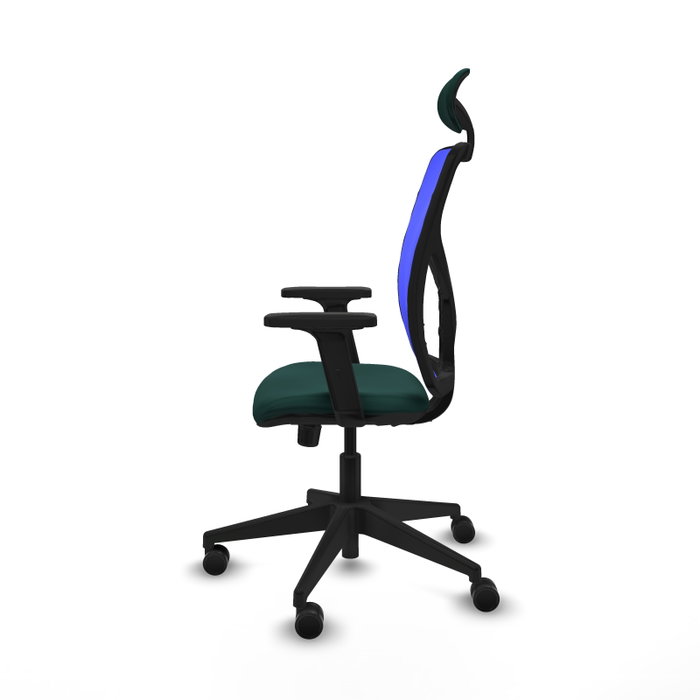 PIQUERAS Y CRESPO Silla de oficina Motilla con mecanismo Sincro, Verde botella y Azul PIQUERAS Y CRESPO Silla de oficina Motilla con mecanismo Sincro, Verde botella y Azul