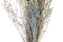 DKD Home Decor Ramo de Flores Secas Natural Surtido de 2