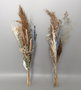 DKD Home Decor Ramo de Flores Secas Natural Surtido de 2