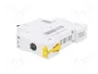 SCHNEIDER ELECTRIC Interruptor magnetotérmico ACTI9 C60H-DC 63A 1P Curva C