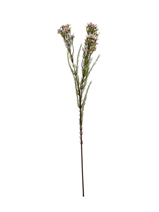 Oplante Flor Artificial Vara Flor de Cera Lila Tela Alto 78 cm Ancho 10 cm Oplante Flor Artificial Vara Flor de Cera Lila Tela Alto 78 cm Ancho 10 cm