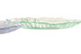 DKD Home Decor Bandeja Vaciabolsillos de Cristal 21x21x2 cm Surtido Azul y Verde