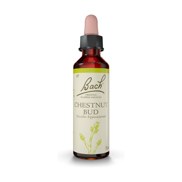 Bach Original Flores de Bach Chestnut Bud Brote de Castaño Nº7 Gotas 20ml Bach Original Flores de Bach Chestnut Bud Brote de Castaño Nº7 Gotas 20ml