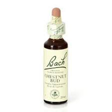 BACH Chestnut Bud (Brote de Castaño) Nº7