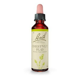 Flores de bach (07) chestnut bud 20 ml
