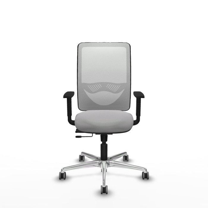 PIQUERAS Y CRESPO Silla de oficina Zulema con mecanismo Sincro/Traslack, Gris claro y Blanco PIQUERAS Y CRESPO Silla de oficina Zulema con mecanismo Sincro/Traslack, Gris claro y Blanco
