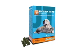Jt pharma JT-Enterovital 60 Snack 4 gr