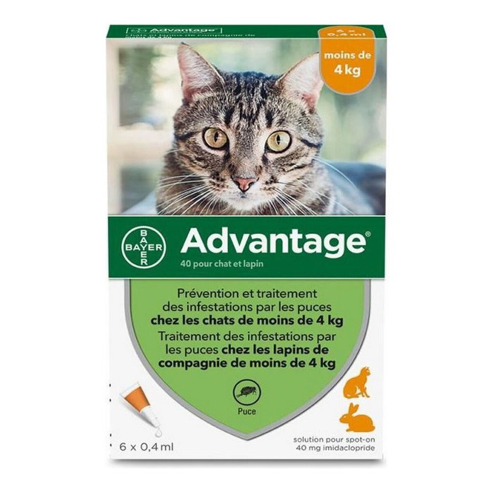 Advantage 40 - 6 pipetas antiparasitarias para gatos y conejos de menos de 4 kg