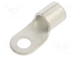 BM GROUP Terminal de ojillo M10 70mm2 para conducto recto