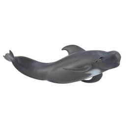 COLLECTA Calderón (Ballena Piloto) - Escala L