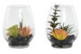 DKD Home Decor Planta PVC y Cristal 10x10x15 Surtido de 2 unidades