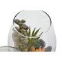 DKD Home Decor Planta PVC y Cristal 10x10x15 Surtido de 2 unidades