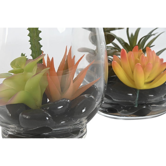 DKD Home Decor Planta PVC y Cristal 10x10x15 Surtido de 2 unidades DKD Home Decor Planta PVC y Cristal 10x10x15 Surtido de 2 unidades