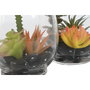 DKD Home Decor Planta PVC y Cristal 10x10x15 Surtido de 2 unidades