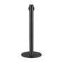 ASUS MTS02D ZenScreen Lift 1/4 Zoll Titanio