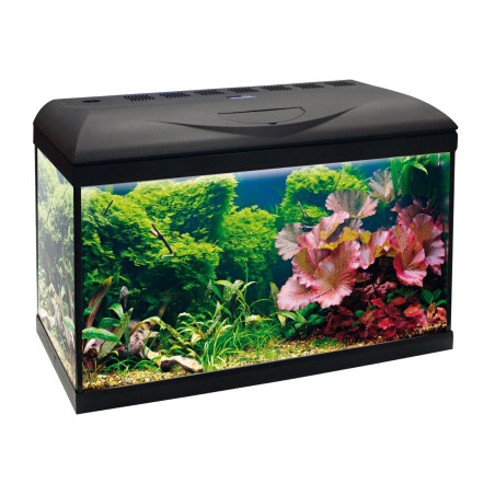 Nayeco Poseidon Riviera Basic 60 - 55 L Acuario con Iluminación Profesional y Filtro Interno