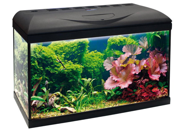 Nayeco Poseidon Riviera Basic 60 LED