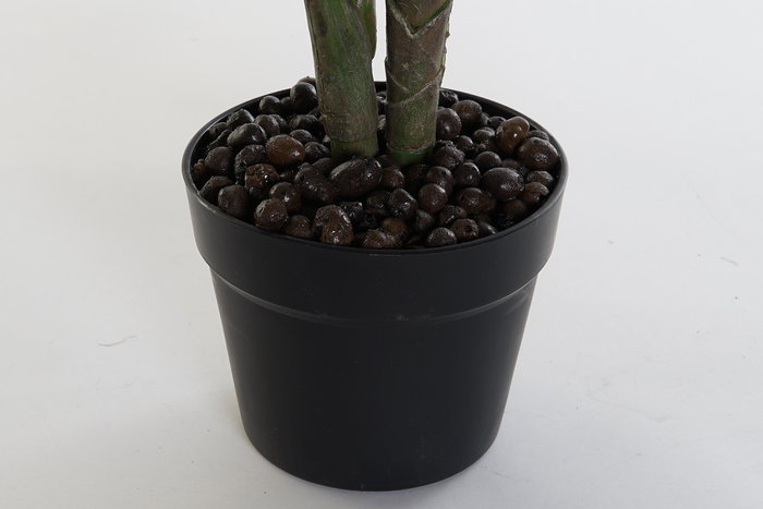 DKD Home Decor Planta Calatea Verde Marron Negro 60 x 102 x 50 cm Pvc Pp 2 Unidades