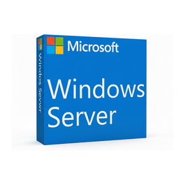 Microsoft WINSVR CAL 2025 1 User