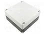 SPELSBERG TK PC Carcasa Universal de Policarbonato Gris