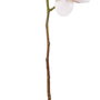 Flor Orquídea Rosa Goma Decoración 95 cm (Set de 24)