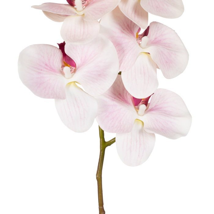 Flor Orquídea Rosa Goma Decoración 95 cm (Set de 24)