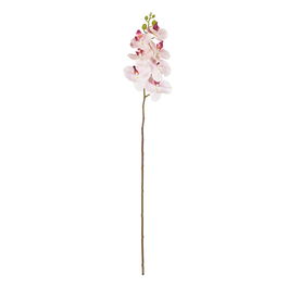Flor Orquídea Rosa Goma Decoración 95 cm (Set de 24)